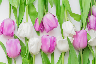 Similar image 21086619