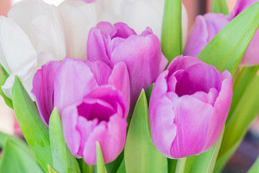 Similar image 21086624