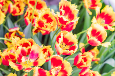 Similar image 21086628