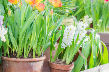 Similar image 21086631