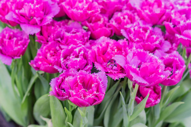 Similar image 21086633