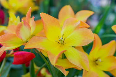 Similar image 21086636