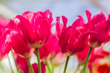 Similar image 21086638