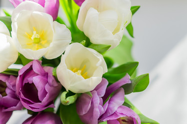 Similar image 21086642