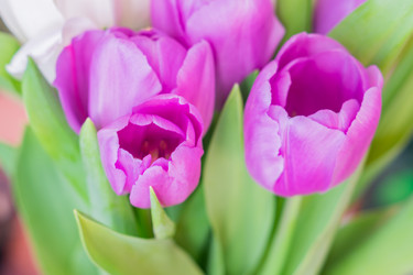 Similar image 21088545