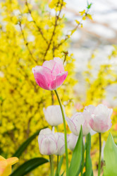 Similar image 21088546