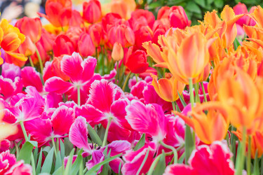 Similar image 21088548