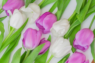 Similar image 21088552