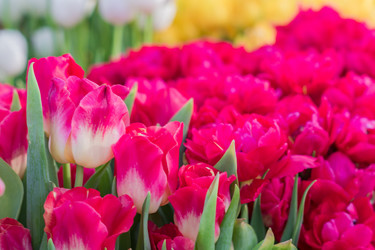 Similar image 21088553