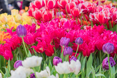 Similar image 21082043