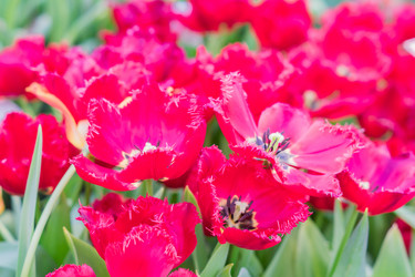 Similar image 21082044