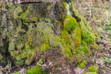 Similar image 21082048