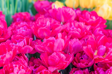 Similar image 21082049