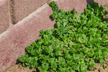 Similar image 21082051