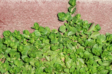 Similar image 21082052