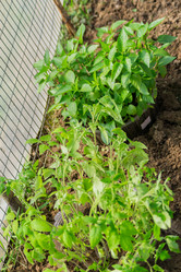 Similar image 21082054