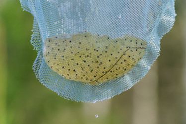 Similar image 21082055