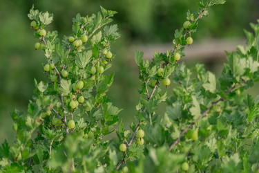 Similar image 21086374