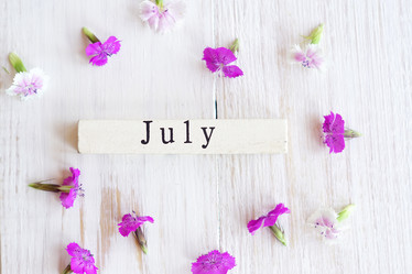 Similar image 21086499