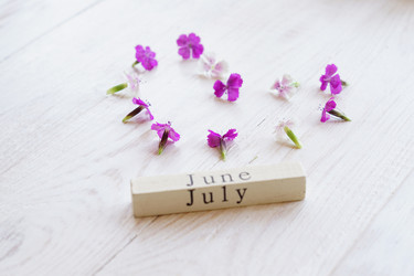 Similar image 21086504