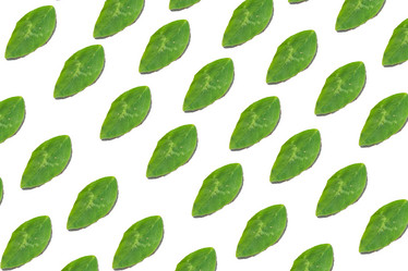 Similar image 21086645