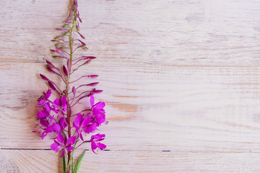 Similar image 21086655