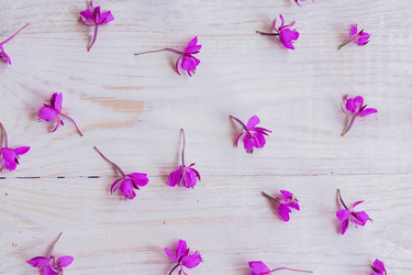 Similar image 21086656