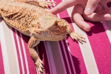 Similar image 21086671