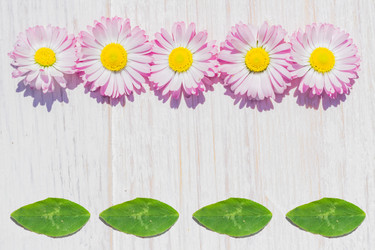 Similar image 21086672