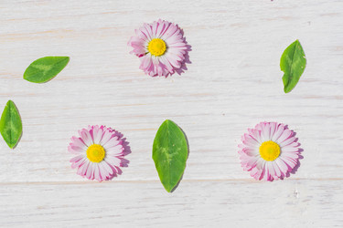 Similar image 21086686