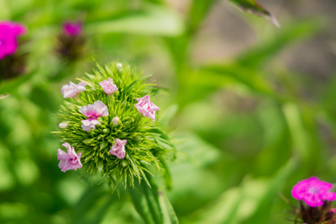 Similar image 21088560