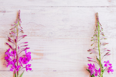 Similar image 21088569