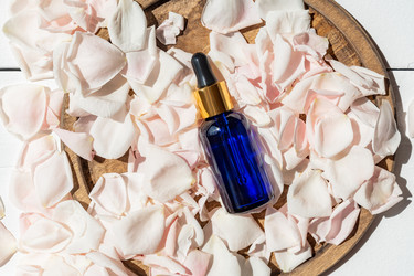 Similar image 21088365