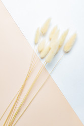 Similar image 21088377