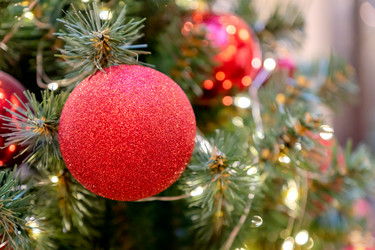 Similar image 21088296