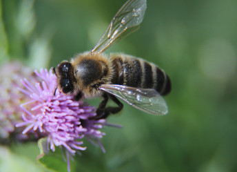 Similar image 21107294