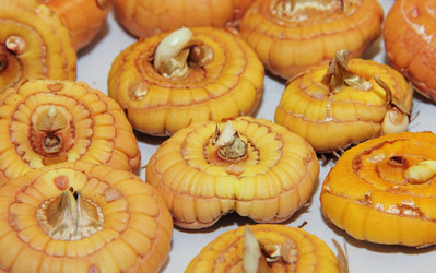 Similar image 21106649