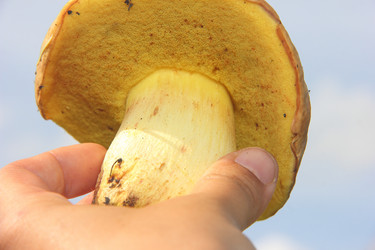 Similar image 21106650