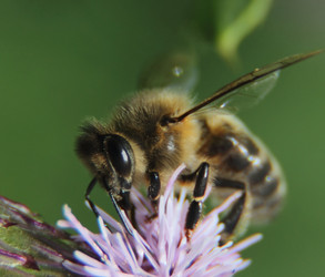 Similar image 21107017