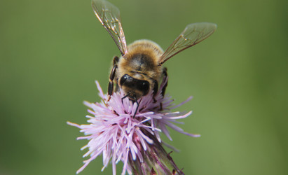 Similar image 21107296