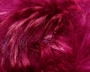 Similar image 21106659