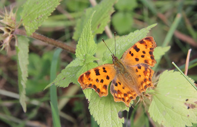 Similar image 21106938