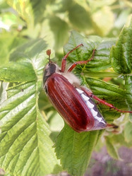 Similar image 21106939