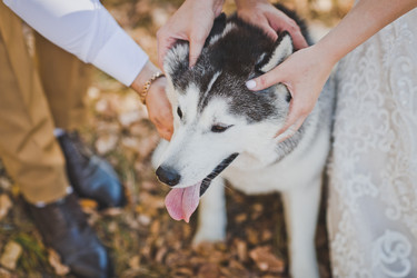 Similar image 21094834