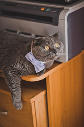 Similar image 21094835