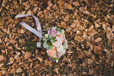 Similar image 21094839