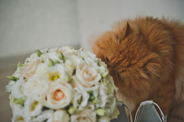 Similar image 21094899