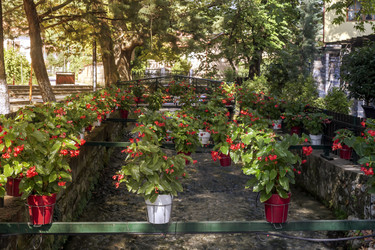 Similar image 21104141