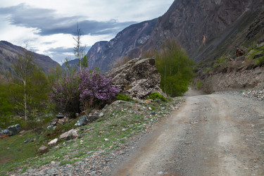 Similar image 21091849