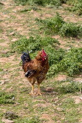 Similar image 21087508